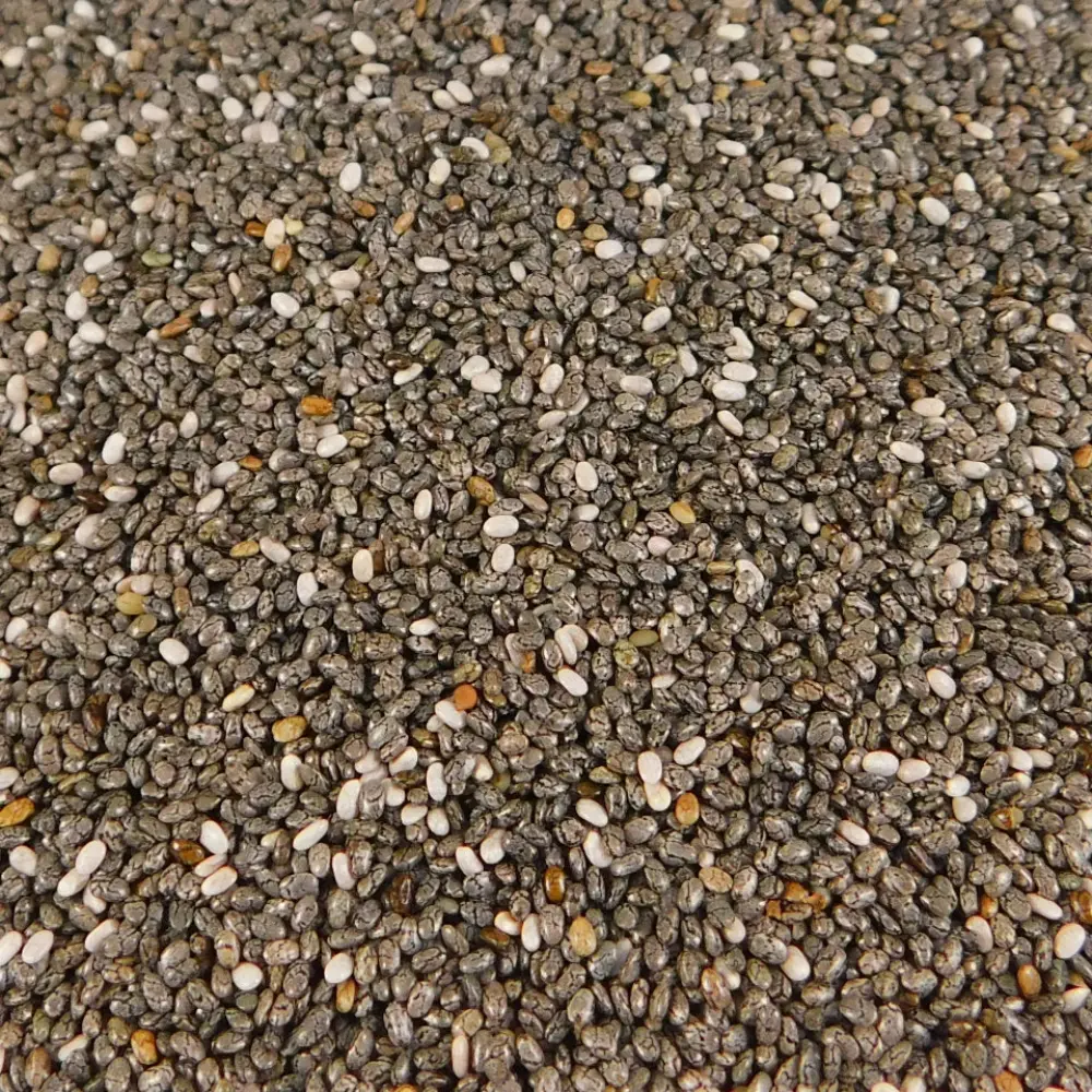 CHIA KG